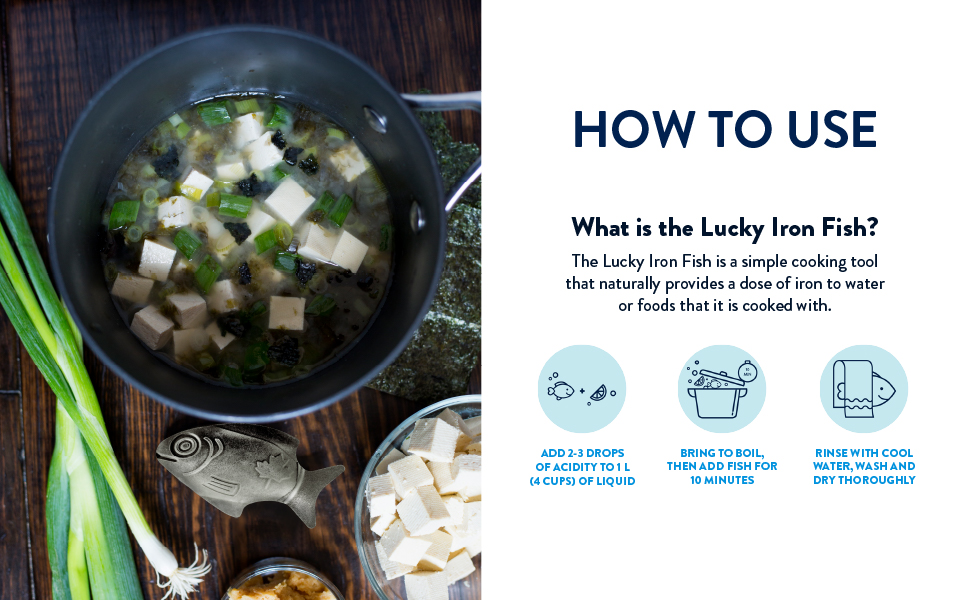 The Original LUCKY IRON FISH Cooking Tool Adds Iron to Food. — Smart