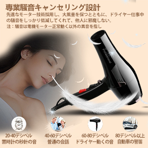 ❤ハイクオリティでプロフェッショナルなヘアサロン仕様♪❤プロ用ヘアドライヤー プロフェッショナルヘアドライヤーSOLID-1200 （1200W） マット