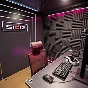 SIDIZ youtube creator's gaming office