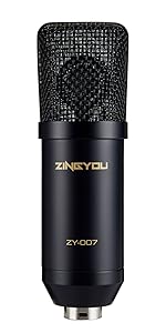 condenser microphone