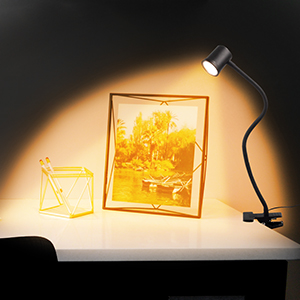 clip reading light