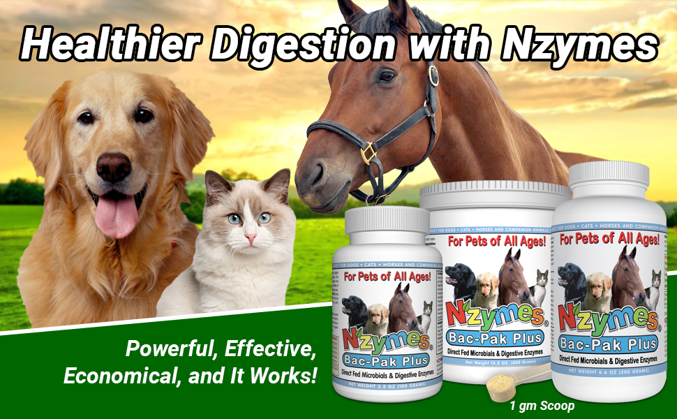 Nzymes® BacPak Plus 100 grams Digestive Enzymes and