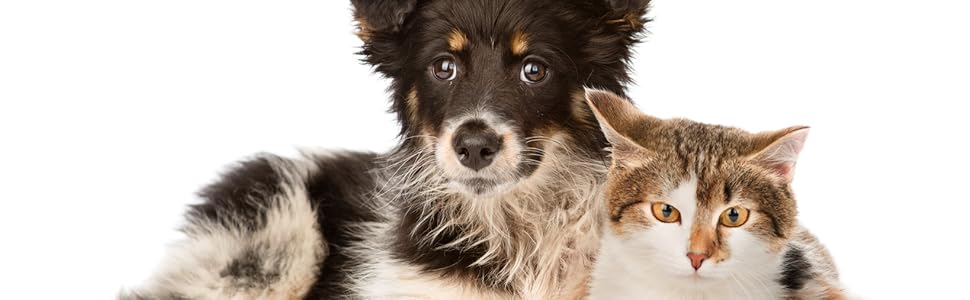 Transport-lassie-s_dunkelgrau