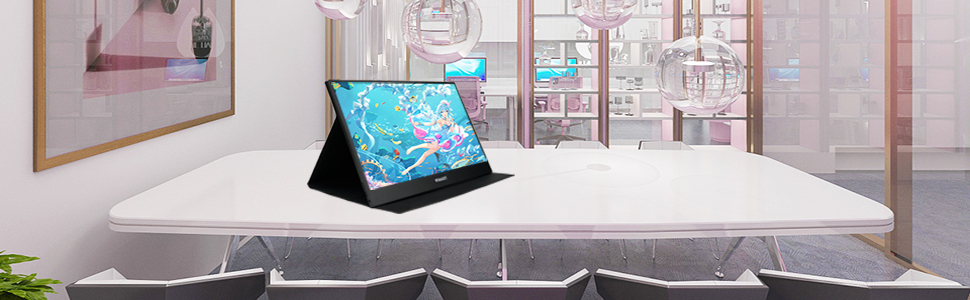 portable monitor