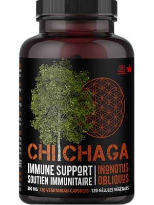 Chi Chaga Mushroom
