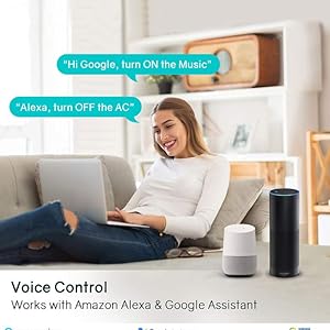 voice control