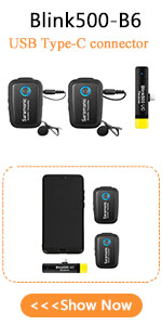 2.4GHz Wireless Microphone System