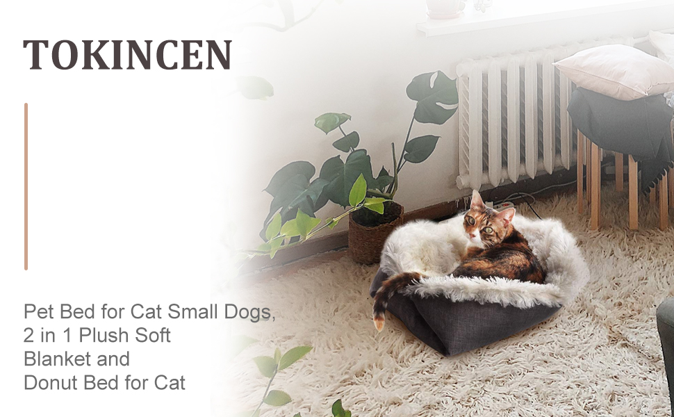 cat bed