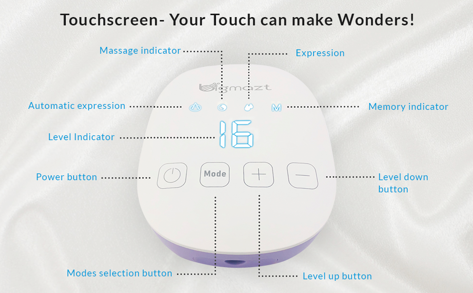 Best Double Electric Breast Pump (Dual Pumps)