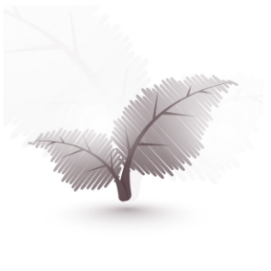 Ethically sourced paper