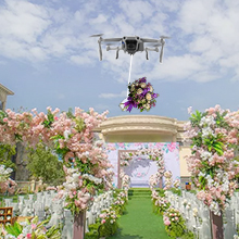 Wedding Ceremony