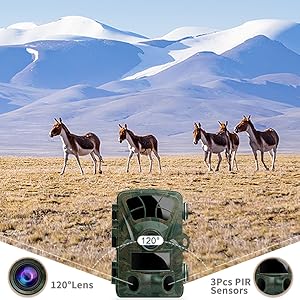trail camera