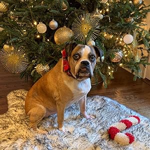 Unique style paws Dog Collar with Detachable Bow tie, Adjustable Dog Collars with Bow for Small Medium Large Dogs or Cats XXS-XL 29