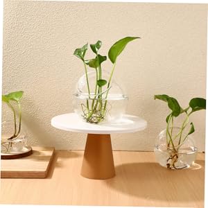 ※特別価格※食器 花盆 紀州漆器 丸盆 尺 30cm 春ラン | 和歌山県海南市 | ふるさと納税