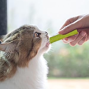 Digestive Health Maintenance