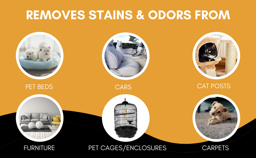 16oz Pet Stain Remover | 3