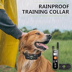 dog care dog training collar with remote training collar for dogs 