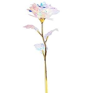 Beferr Beauty and The Beast Rose 