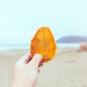 Fruit for Thought dried-mango at the beach