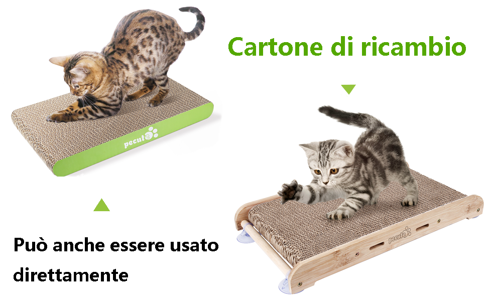 Cartone di ricambio