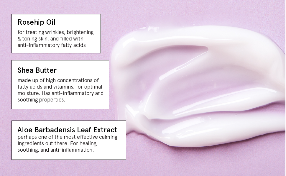 Lavender Body Lotion (16 oz) Vegan Hand & Body Moisturizing