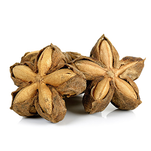 SACHA INCHI AMAZON ANDES