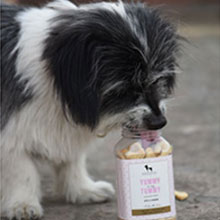 huft dog biscuits