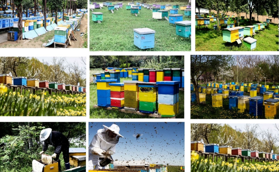 Large manufacture image 6