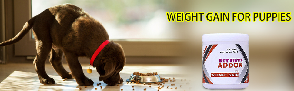 Weight Gain