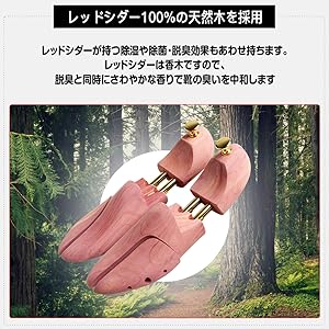 バーバリー　一文字　ストレート　25センチ　シューキーパー付き Amazon | [RaxCollection] JP 29-29.5# J-CST44 | RaxCollection