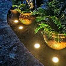 Solar Pathway Lights