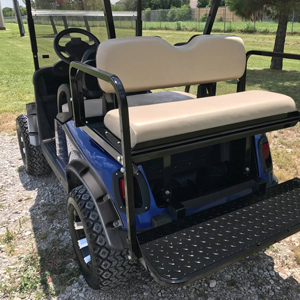 10L0L Golf cart ds