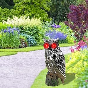 霊が見える置物 Amazon.co.jp: フクロウ 置物 鳥よけ 害鳥対策 置物 鳥よけ