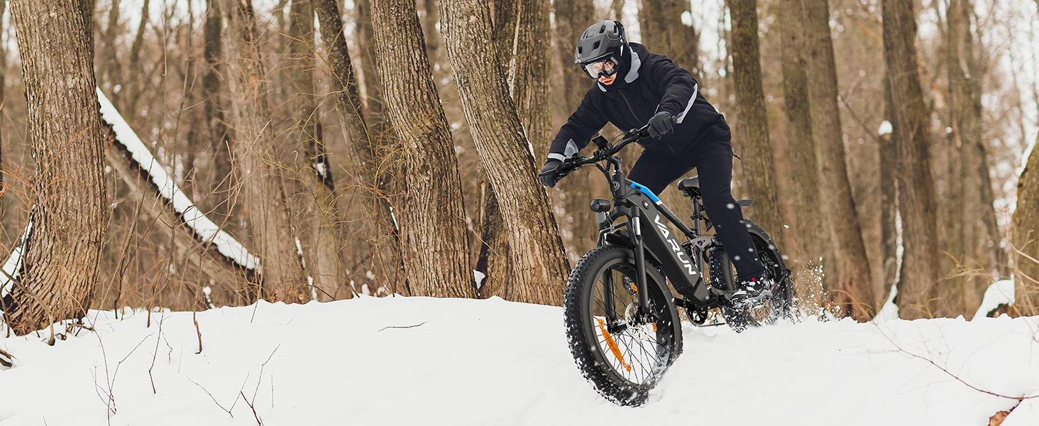 EBIKE
