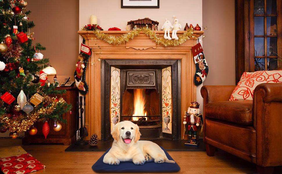 pet heating pad PVC