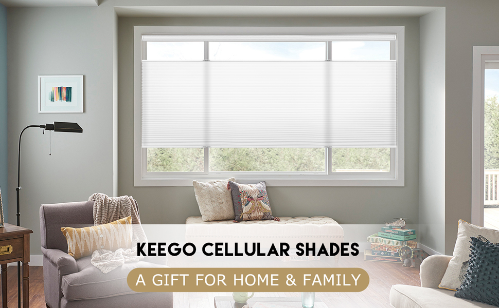 Washington Mall Keego Cellular Blinds Cordless Top Down Bottom Up