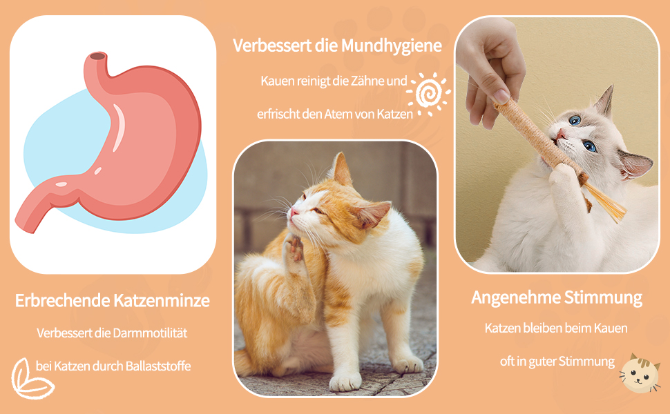 Kausticks für Katzen Matatabi Stick Katze Katzenminze Sticks