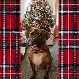 Unique style paws Dog Collar with Detachable Bow tie, Adjustable Dog Collars with Bow for Small Medium Large Dogs or Cats XXS-XL 27