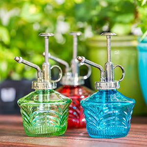 Vintage Plant Mister