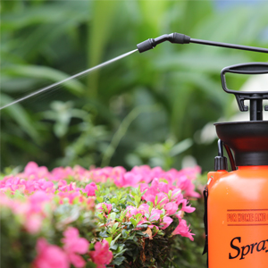 Small manufacture image 8