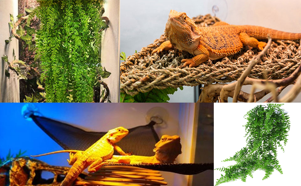 Bearded Dragon Tank Accessories,Reptile Plants Hanging,Lizards Habitat Natural Seagrass Hammock