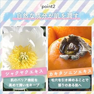 Amazon 妖精美人 デオドラントソープ 固形 足の匂い 足の臭い 石鹸 薬用 ワキガ 脇 足 臭い 消臭 フリー処方 敏感肌 男性 女性 ミョウバン 銀 カキタンニン 医薬部外品 妖精美人 固形せっけん 通販