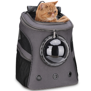 cat carrier