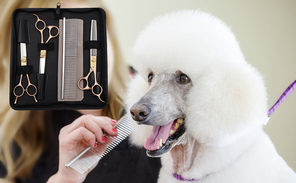 Pet Scissors