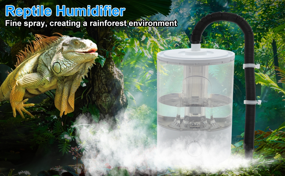 Standard Image Header With Text