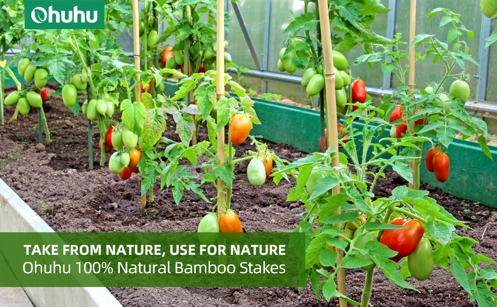 Bamboo Stakes 4 FT with Hemp Ropes, Ohuhu 25 Pack 1/2