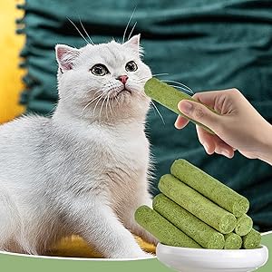 Cat Grass Sticks for Indoor Cats