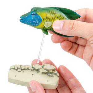 (未使用･未開封品)　カロラータ 日本の淡水魚 フィギュア ( 立体図鑑 ) 魚 リアル フィギュアボックス [解説書/スタンド付き] 食品衛生法クリア 10種 tu1jdyt ヤマダモール | カロラータ 日本の淡水魚 フィギュア ( 立体図鑑