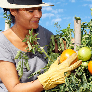 Commitment to Purity