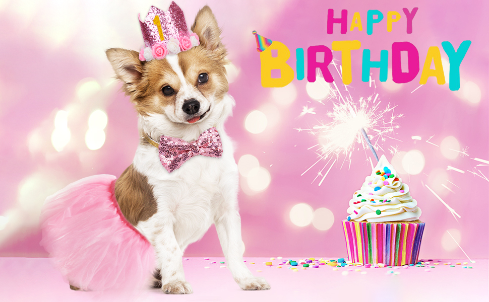 Legendog Dog Tutu Skirt, Dog Birthday Party Supplies Dog Birthday Hat Dog Bowtie, Cute Pink